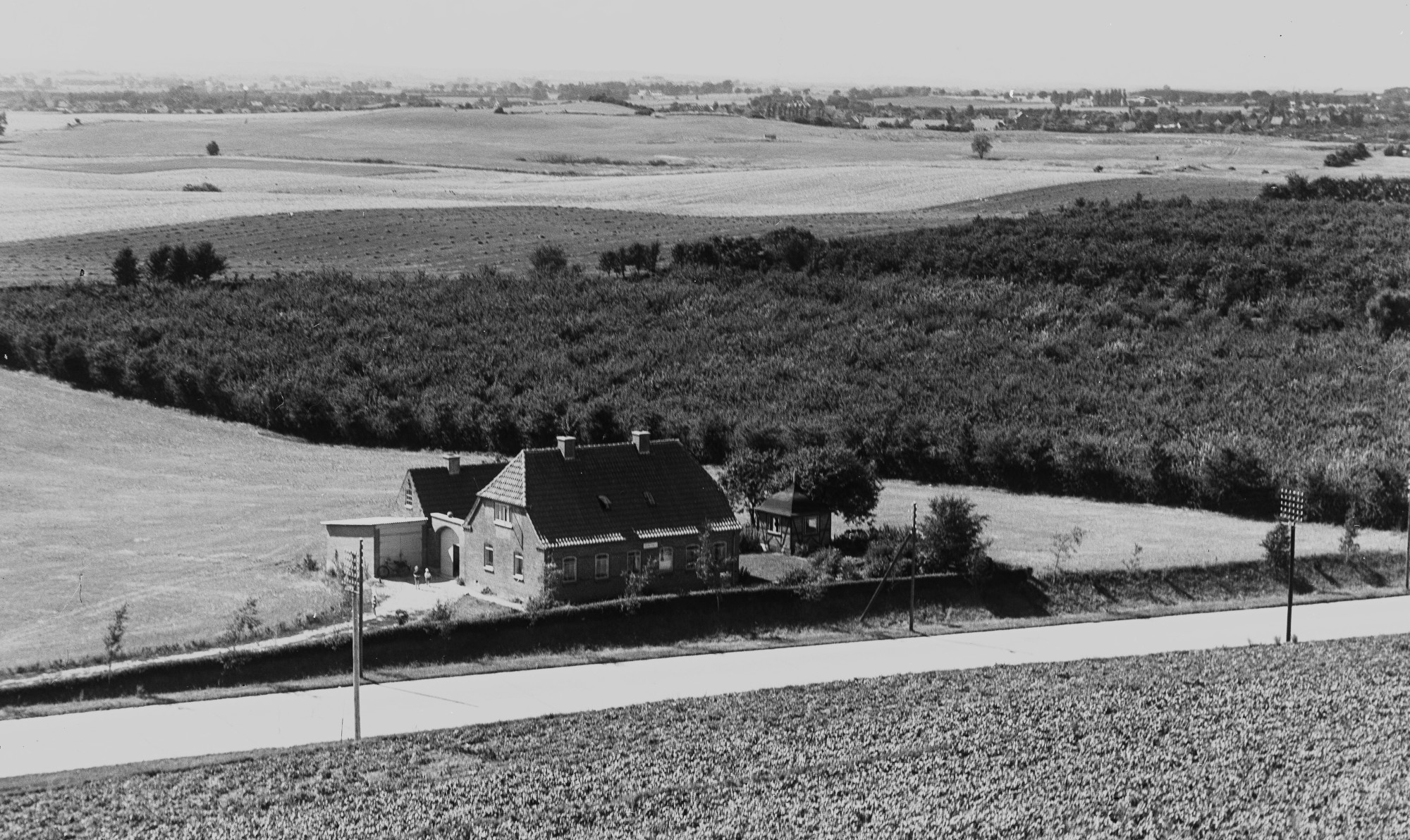 Blomsterhaven 1955