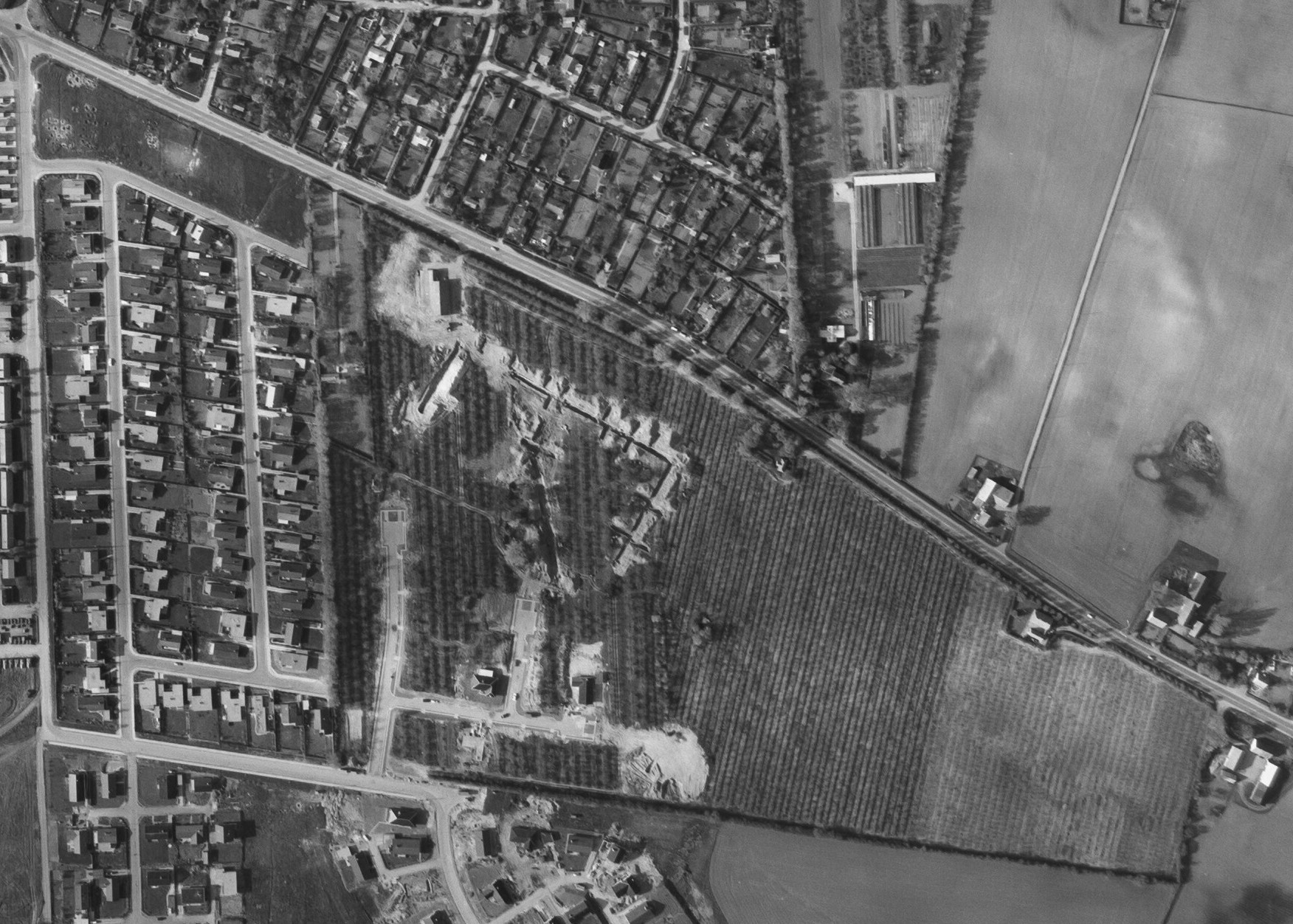 Blomsterhaven 1970